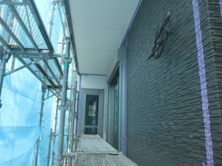 005.JPG